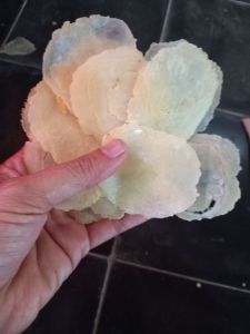 Emping Melinjo asli kebumen /tanpa campuran /ukuran sedang kemasan 1 kg/ sudah sortir emping mentah kualitas super /siap goreng biji 2-3 melinjo