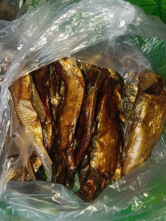 Busuko Shell Ikan busuko tinapo atau ikan tembang khas daerah kendari yang di ...