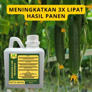 Pupuk Pelebat Mentimun / Pupuk Buah Mentimun / Pupuk Booster Mentimun / Pupuk Mentimun