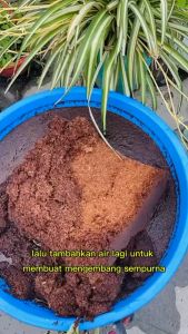 Cocopeat Block Media Tanam Mengembang 5-6 kali lipat