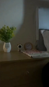 Rechargeable Bedside Lampshade Dimmable LED Night Light Tricolor Touch Table Lamp Remote Control