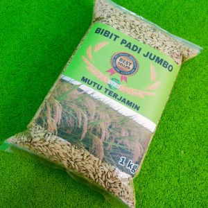 Bibit padi unggul umur pedek terbaru\Benih padi merah\jenis padi jumbo per 1 kg