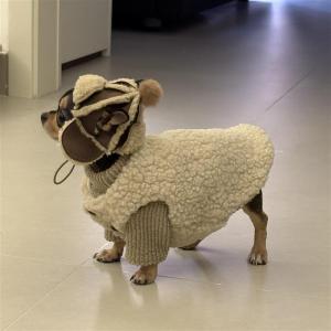 Thickened Warm Dog Sweater Vest Small Dogs Snauzer Bichon Frise Cozy Winter Pet Clothes Casual Style Doggy Jacket for Daily Use