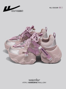 Womens Dad Shoes High Top Breathable Mesh Sport Shoes Spring 2025 New Style Casual Fashion Increased Height Thick Bottom