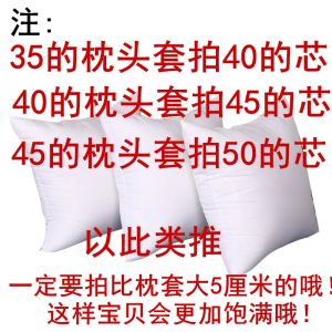 Áo Gối Vuông PP Cotton Lấp Đầy Lõi Gối Thoải Mái Cho Phòng Khách Gia Đình Dùng Trang Trí Nhà Cửa Thiết Kế Đơn Giản Hiện Đại