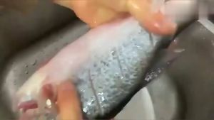 🔥READY STOCK 🔥20m Baking Tools BBQ Barbecue Tin Paper Barbecue Tin Foil Paper Baking Box Tin Paper aluminium 铝箔锡纸烧