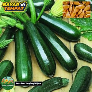 5 BUTIR BIJI/BENIH TANAMAN ZUKINI | ZUCCHINI HIJAU PANJANG