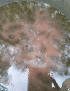 อาหารเลี้ยงไรแดงน้ำใสแบบเข้มข้น ขนาด 250 มล - อาหารที่ทำจากเนื้อเยื่อและเต้นใส