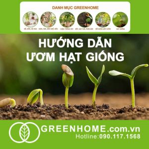 Hạt Giống Gia Vị Greenhome Nhiều Loại Trồng Chậu Dễ Trồng Chịu Nhiệt Trồng Quanh Năm Năng Suất Cao