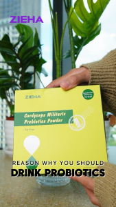 ZIEHA Cordyceps Militaris Probiotics Powder (30pcs x 5g) L.Plantarum | Joint Health Arthritis | Guts Bowel Health