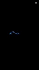 Callebaut Finest Belgian Dark Chocolate Assortment - 2.5kg Pack (70.5% 70-30% 80% 811) Shelf Life 24 Months