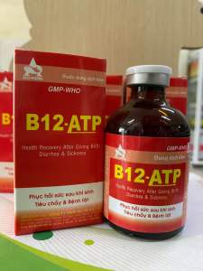 B12-ATP Phục Hồi Sức Khoẻ Chống Stress Chống Suy Nhược