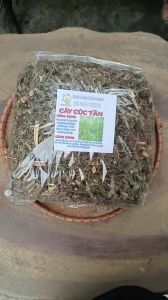 1kg cây cúc tần sấy khô hữu cơ