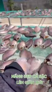 1 KG KHÔ CÁ SẠC LOẠI 1 ĐẶC SẢN CÀ MAU-khô cá sặc Cà Mau ngon đúng chuẩn