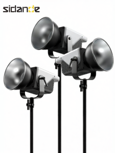 Sidande | App Adjustable Bicolor Temperature Professional Lighting Lamp