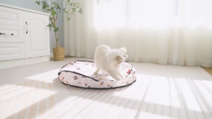 Lovinland Interactive Cat Toys for Indoor Cats Automatic Ball Toy Rolling Motion Activates Hide & Seek Game for Cat Play Rechargeable Bouncing Toy Keeps Cats Entertained & Not Bored(Random Color)