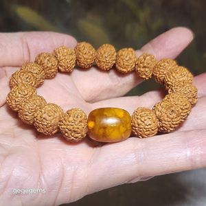 Premium 12mm+ natural "Panlong" (Coiling Dragon) 9 Mukhi (faces) small species Rudraksha and natural Butterscotch Amber barrel bead bracelet