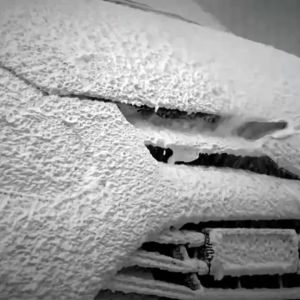 5pcs Car Detailing Brush Kit Wire bristles Wheel Rims Clean Brush Set Accessories Parts Wash Clean Tool Tire Brush 汽车细节刷