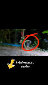 ใหม่ ไฟถอย LED 144ชิป ติดแช่ ขั้วเขี้ยว ขั้วเสียบT20