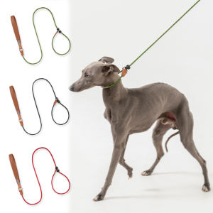 Hamshmoc P-Shaped Dog Leash Integrated Dog Collar and Leash Comfortable Handle Durable Sturdy Strong Pet Accessories for Dog