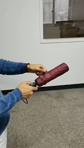 Introduction to Reflective Ten Bone Umbrellas