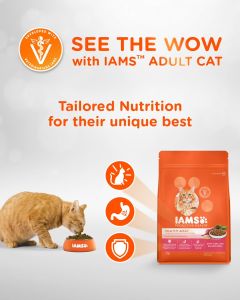 IAMS Proactive Health Adult with Chicken3KG (Cat Food)