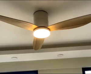 [CLIMATE VOUCHER ]FANCO B STAR 36"/46"/52" DC CEILING FAN  Or Smart WiFi Option / FREE EXPRESS DELIVERY