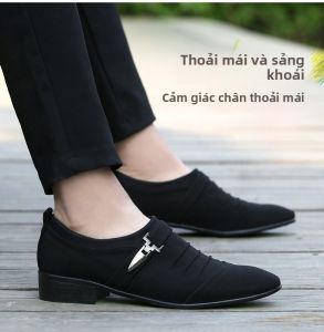 Giày Da Nam Đế Phẳng Bóng Mờ Mùa Xuân Thu Đế Cao Su Mũi Nhọn Lót Lông Cừu Thường Ngày Giày Lười Thoáng Khí