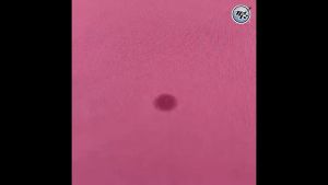 Chai xịt tẩy vết dầu máy may dính trên vải Pull Out Premium Tech In USA - Lazada