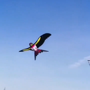 【Vinnatsu】Layang Layang Karakter Besar Satu Besar Satu Set Dengan 80cm Tongkat Joran Layang Layangan Anak Karakter Mainan Layang Layang