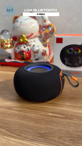 (HOT TREND) Loa Bluetooth P Pro1 – Âm Thanh Hay Nghe Nhạc Karaoke Giải Trí Cực Sướng – Pin Bền – Bảo Hành 1 Đổi 1