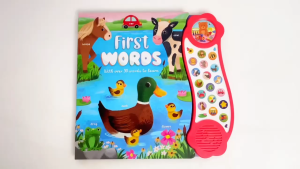 50 First Words Mega 18 Buttons Sound Book To Learn