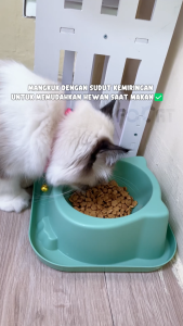 FOCAT Pet Feeder Bowl M32 Mangkuk Tempat Makan Kucing Anjing Hewan Peliharaan