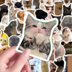 Adorable Waterproof Cat Meme Sticker Roll Cute Funny Cat Cartoon Pictures Water Resistant Sticky Notes Ideal for Gifting