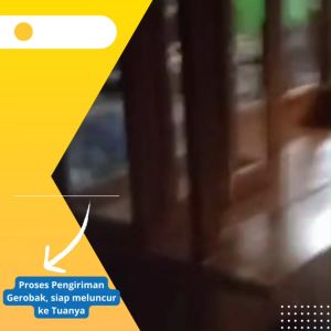 Gerobak Usaha Gerobak Atap Joglo Gerobak Mie Ayam Bakso Gerobak Jualan