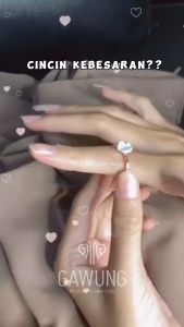 Pengecil Ukuran Cincin pengganjal Spiral ring High Quality PPCSS