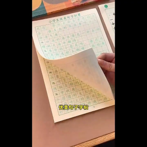 华文练习练字帖 小学生优美句子积累字帖 楷书練字帖 写作练字两不误 小学作文 作文字帖描红本 华文练习 Practice calligraphy