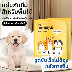 Đệm Thấm Nước Tiêu tiểu Nhanh Khô Cho Thú Cưng