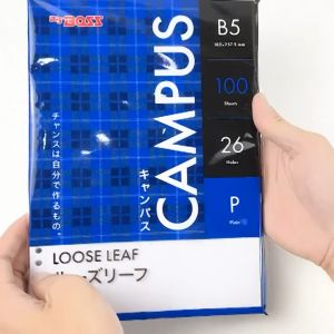 Loose Leaf Big Boss B5 26 Holes - Polos isi 100 Lembar