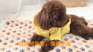 [🐾RedPanda]ที่นอนสำหรับสัตว์เลี้ยง เสื่อนอนสำหรับสุนัขและแมว ผ้าห่มสัตว์เลี้ยง พิมพ์กรงเล็บแมวน่ารัก สุนัข ผ้าห่มแมว เบาะนุ่มแมว