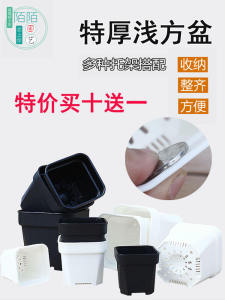 Huamonglou Extra Thick Light Square Basin Small Square Black and White Succulent Sedum Basin Cactus Lithops Apricot Flower Pot