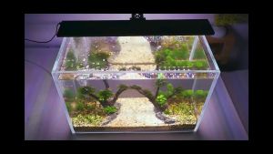 Hygger Aquarium LED light HG-018 14w 18w 22w 26w 42w โคมไฟ LED aqua clip on lamp plant light โคมไฟตู้ปลา single arm