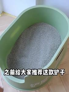 Stainless Steel Cat Litter Scooper Wooden Handle Pet Toilet Shovel Small Hole Mesh Cleaning Tool