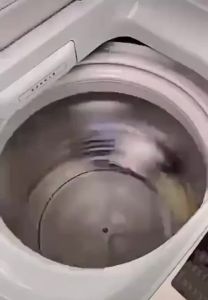 REVO Reusable Laundry Washing Ball – Magic Clothes Dryer Ball (Buy 1 Take 1)