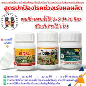 ตราเงาะคู่ ด่วน ไวรัลเอ็กซ์ ซีซ่าร์90 (ชุด 3 ขวด) ฮอร์โมนข้าวโต เร่งหวาน กันโทรม