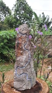 đá cảnh đã tạo rãnh chồng cây ký đá cao 25-30 cm