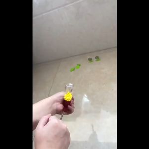 Đồ Chơi Phốc - Thụt - Bốp Bốp Liên Thanh Kèm Ống Đựng Bi