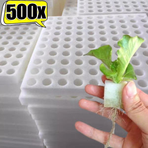 500PCS Hydroponic Sponges Gardening Tool Square Soilless Cultivation Plant Seedling Greenhouse Sponge Vegetable Bud Growth
