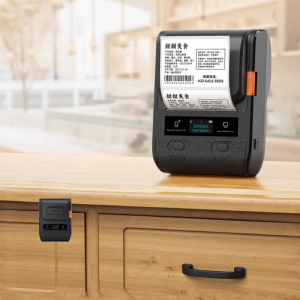DTPrinter | Bluetooth Portable Thermal Label Printer with Silver Label and QR Code Smart Labeling
