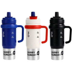 Durable Stainless Steel Insulated Water Bottle with Handle and Straw Leak-Proof for Gym and Outdoors